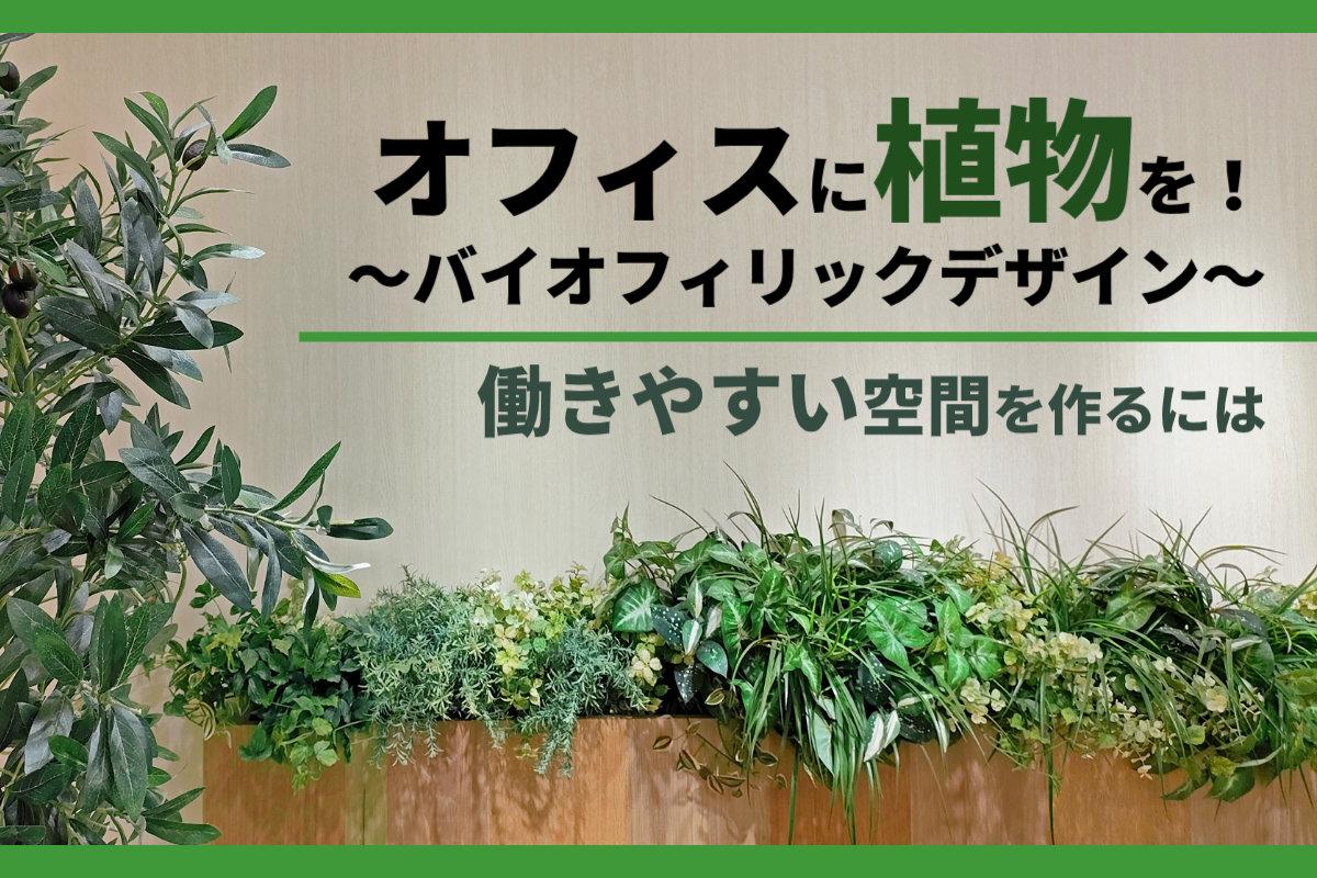 オフィスに植物を！バイオフィリックデザインを取り入れて働きやすい空間を作るには